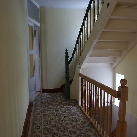 Trina Apartment